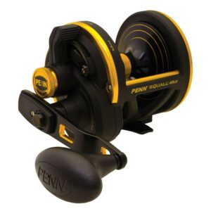 PENN Squall Lever Drag Nearshore/Offshore Fishing Reel, Size 40