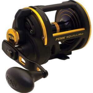 PENN Squall Lever Drag Nearshore/Offshore Fishing Reel, Size 60