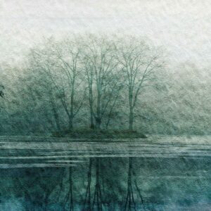 Parvez Taj Apple Lake Canvas Wall Art