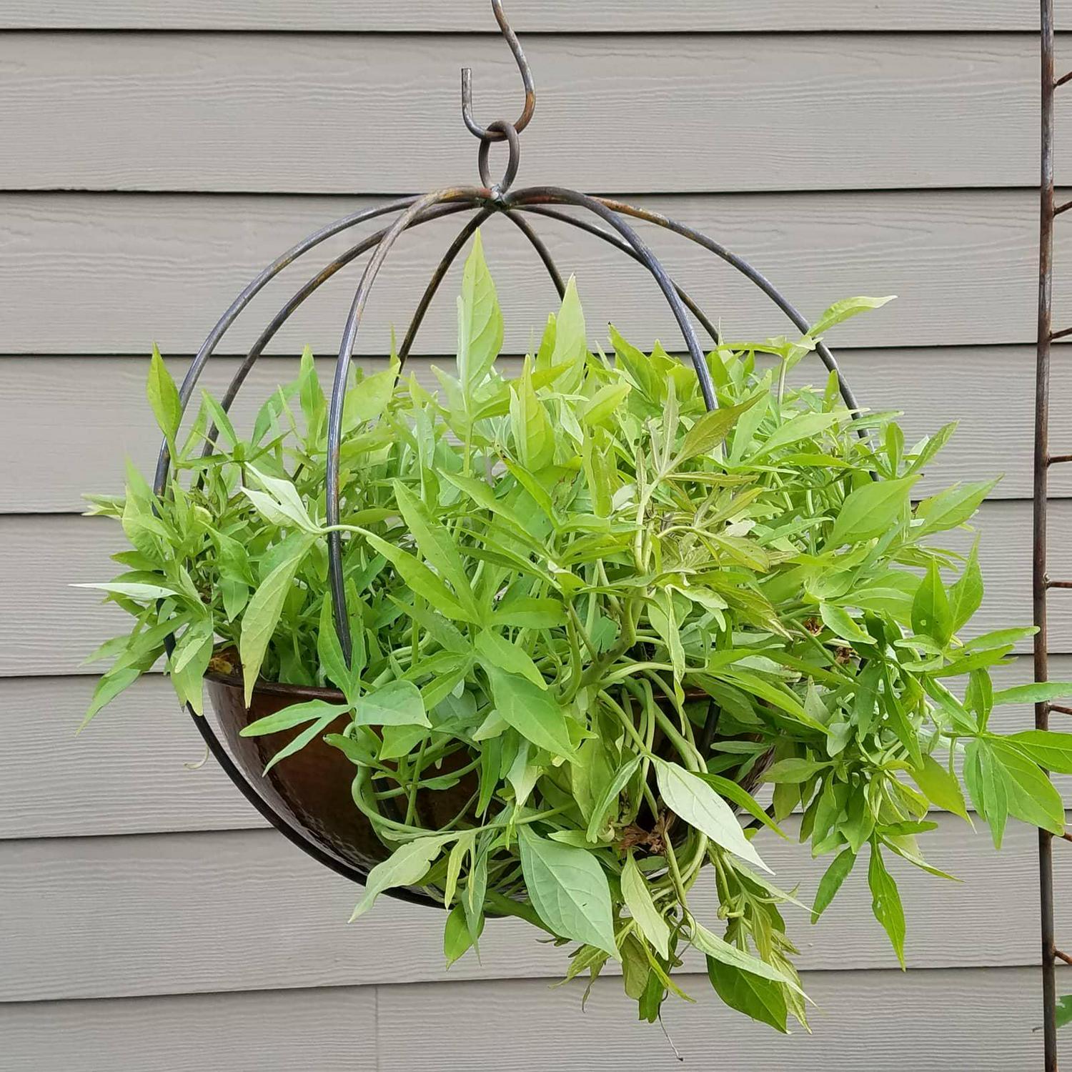 Find Your Passage LLC Large Hanging Globe-shaped Handmade Metal Planter with 10-inch Hook Brown - Image 4