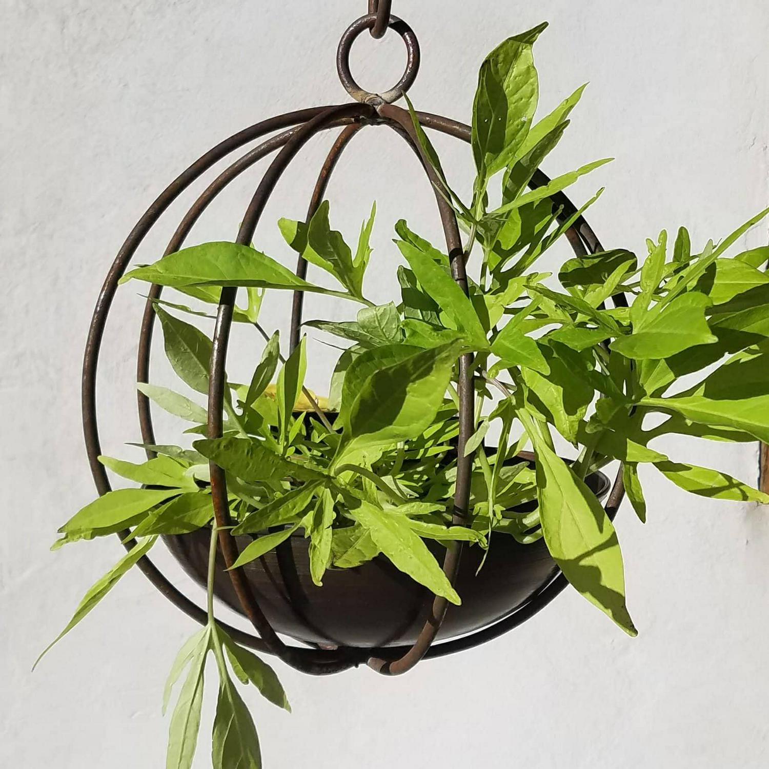 Find Your Passage LLC Large Hanging Globe-shaped Handmade Metal Planter with 10-inch Hook Brown - Image 7