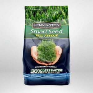 Pennington Smart Seed Tall Fescue Grass Seed, Sun to Partial Shade, 20 lbs.