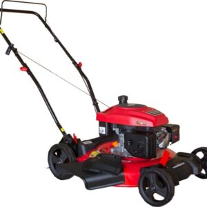 PowerSmart 21" 2-in-1 170 CC 4 Stroke OHV Gasoline Push Lawn Mower, DB2194CR
