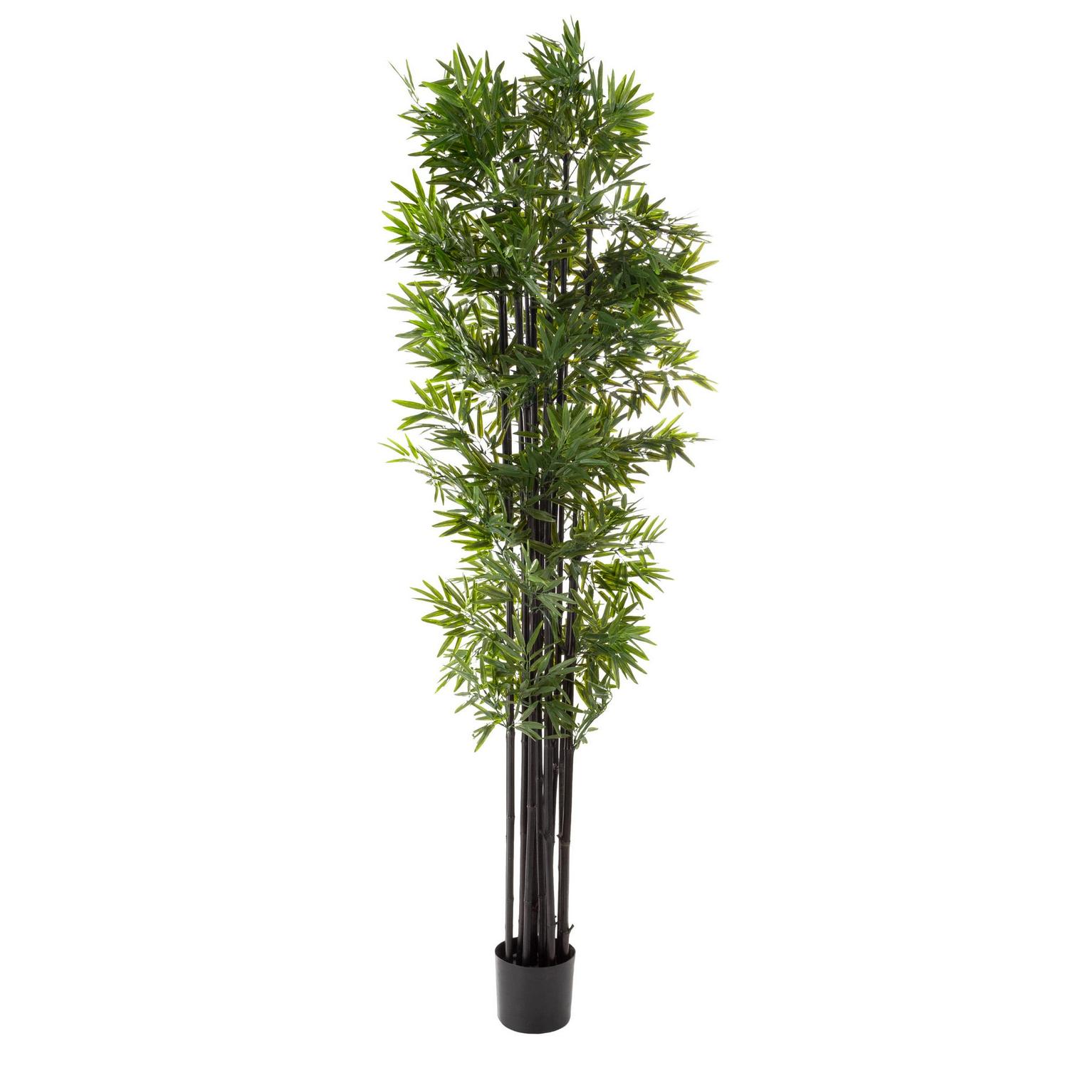 6" Artificial Bamboo Tree with Black Trunks and Realistic Leaves for Indoor Home Decor by Pure Garden