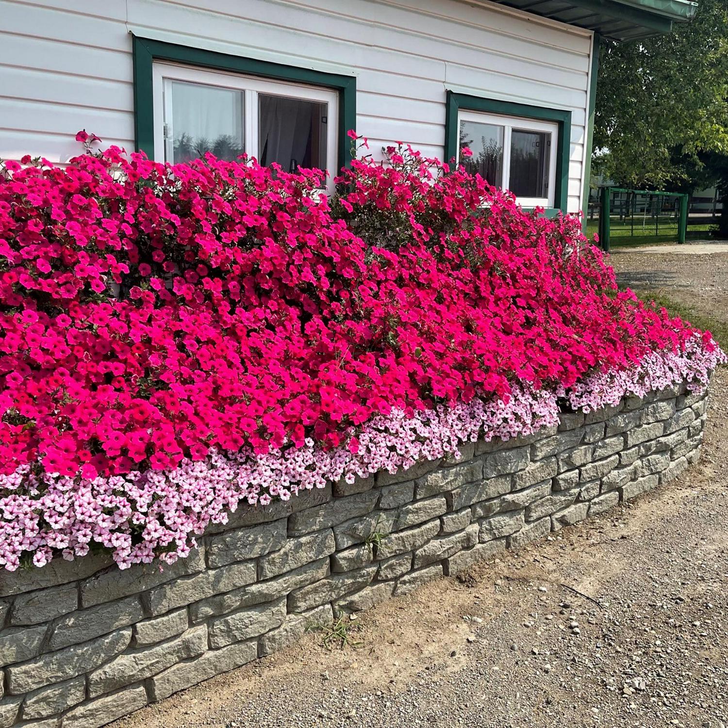 RTS Home Accents Rock Lock Raised Garden Bed Straight Rock (Pack of 4) - Image 4