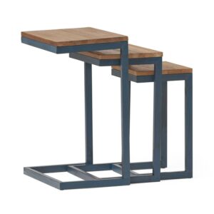 River Street Designs Deena Firwood Nesting Tables (Set of 3), Brown/Blue