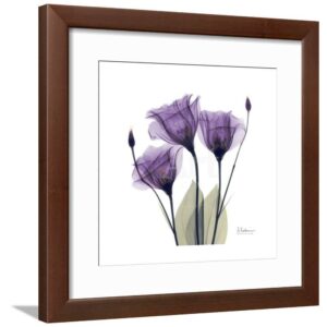 Royal Purple Gentian Trio, Botanical Framed Art Print UnFramed Wall Art by Albert Koetsier Sold by Art.Com