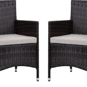 SAFAVIEH Kendrick Outdoor Patio Wicker Chair, Brown/Sand, Set of 2