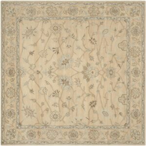 SAFAVIEH Wyndham Callista Floral Bordered Wool Area Rug, Light Gold, 7' x 7' Square