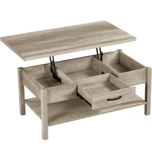 Alden Design Lift Top Coffee Table with Hidden Compartments & Drawer for Living Room, Gray
