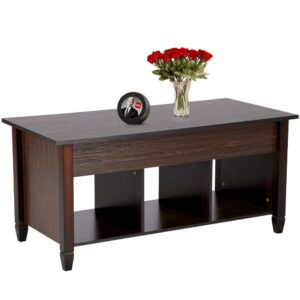 Alden Design Modern Lift Top Coffee Table with 3 Storage Compartments, Espresso