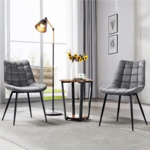 Alden Design Modern Upholstered Dining Chairs for Living Room, Set of 2, Gray