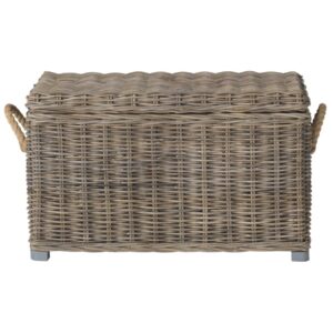 Safavieh Salim Nautical Storage Wicker Trunk with Handle