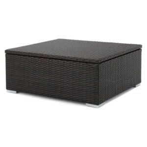 Christopher Knight Home Santa Rosa Outdoor Wicker Storage Coffee Table by