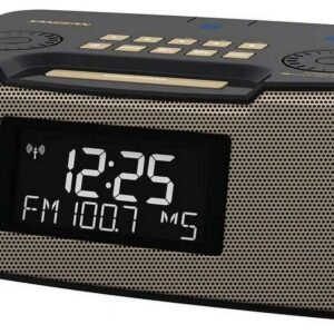 Sangean Portable AM/FM Radio, Gold, RCR-20