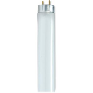 Satco, SDNS8440, 25-watt 48" T8 Fluorescent Bulb, 30 / Carton, White