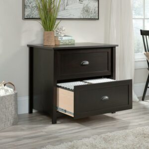 Sauder County Line 2-Drawer Lateral File Cabinet, Estate Black Finish