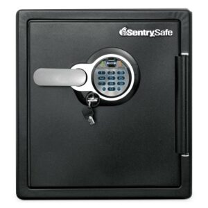 SentrySafe SFW123BSC 1.23 cu. ft. Fire-Safe with Biometric and Keypad Access - Black