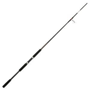Shakespeare USBWSF1530S102 Ugly Stik Bigwater Spinning Surf Rod 10'
