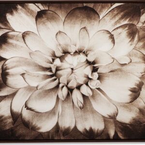 Signature Design by Ashley Casual Phiala Wall Art Brown