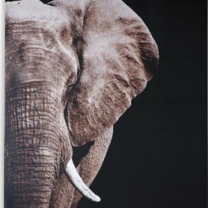 Signature Design by Ashley Contemporary Jendayi Wall Art Black/White/Gray