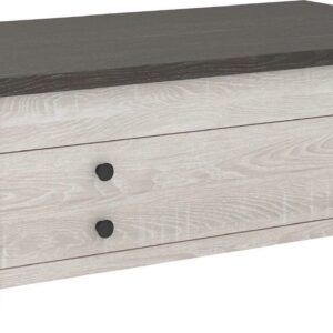 Signature Design by Ashley Casual Dorrinson Coffee Table with Lift Top Two-tone