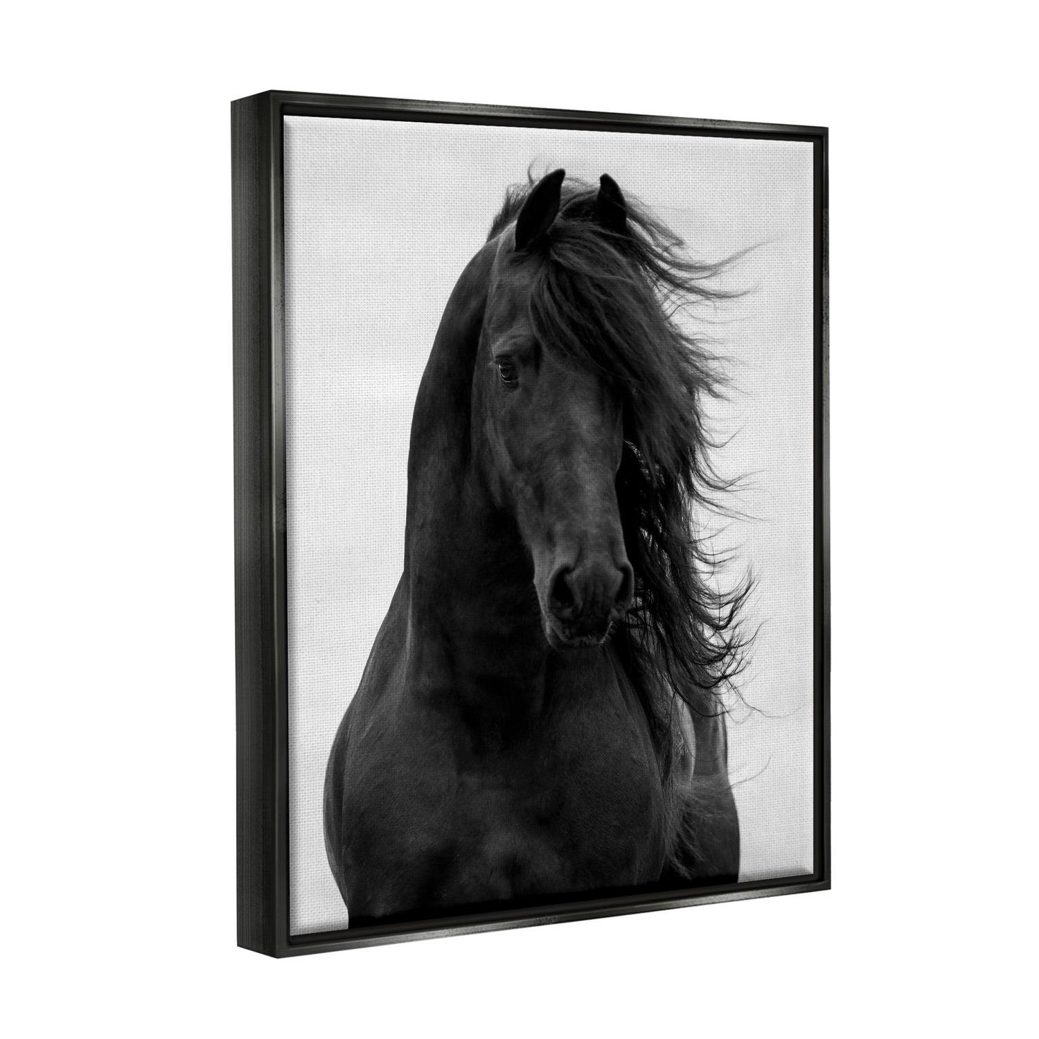 Stupell Industries Black Stallion Horse Portrait Soft Grey Sky Photography Jet Black Framed Floating Canvas Wall Art, 16x20, by Carol Walker - Image 3