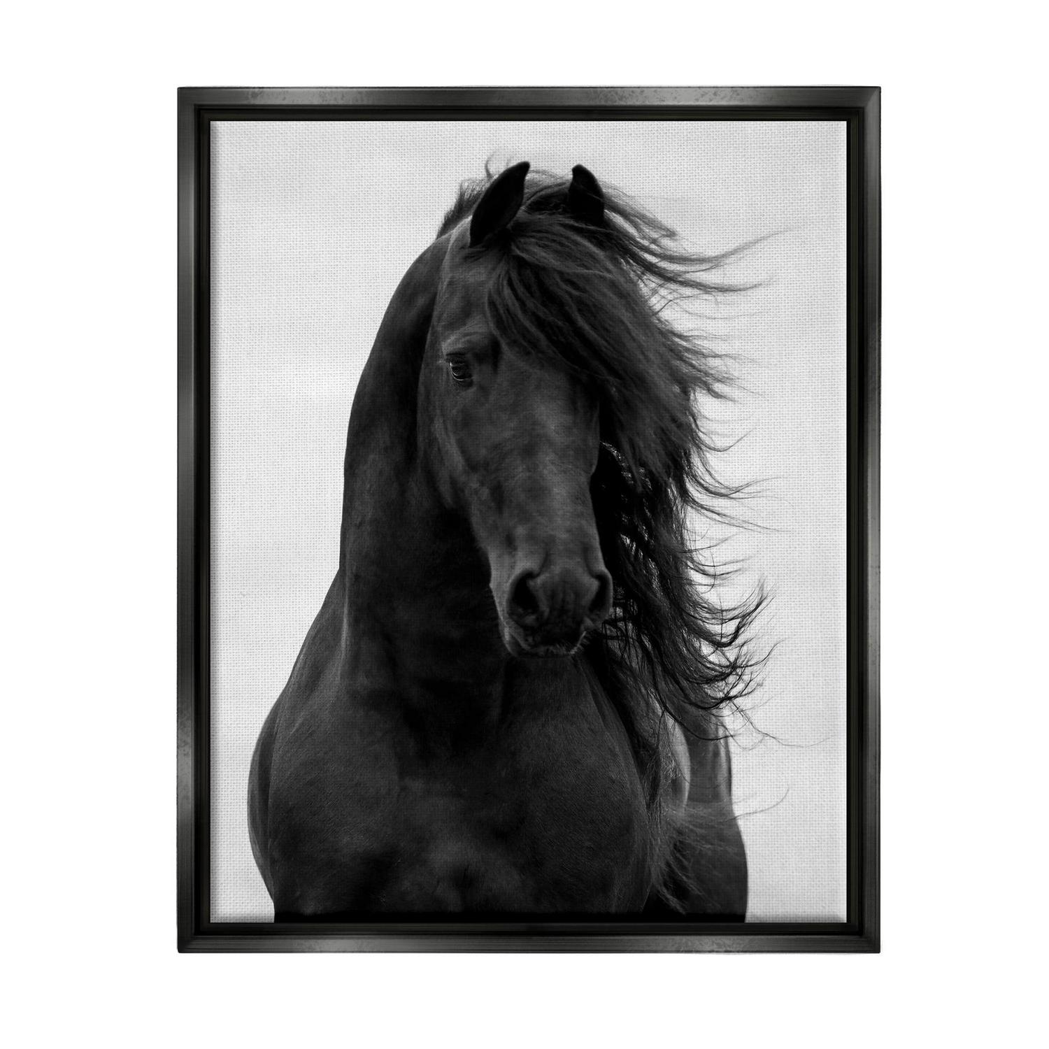 Stupell Industries Black Stallion Horse Portrait Soft Grey Sky Photography Jet Black Framed Floating Canvas Wall Art, 16x20, by Carol Walker