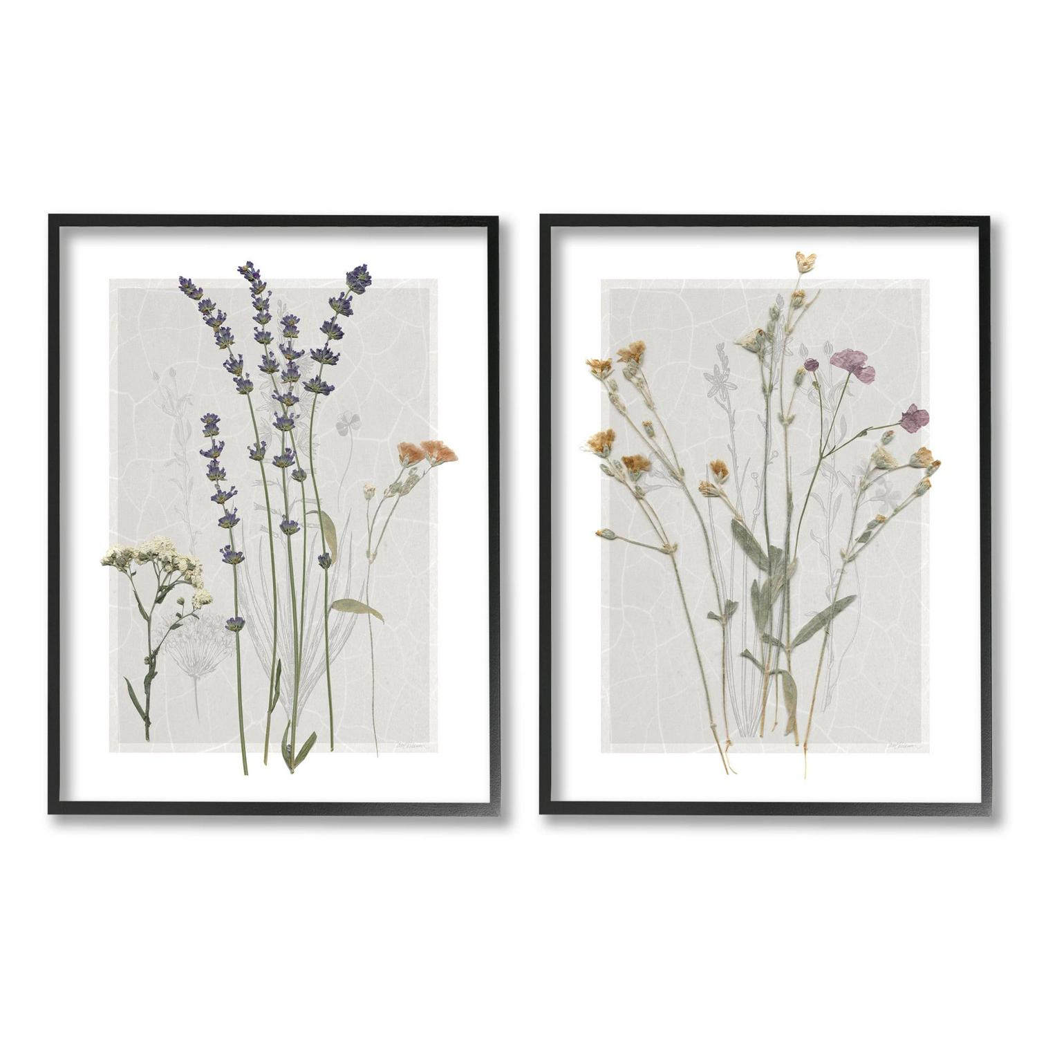 Stupell Industries Delicate Wildflower Herb Sprigs Lavender Nature Botanicals Graphic Art Black Framed Art Print Wall Art, Set of 2, Design by Carol Robinson