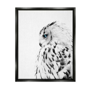 Stupell Industries Snow Owl White Feathers Peering Blue Eyes Jet Black Framed Floating Canvas Wall Art, 16x20, by Design Fabrikken
