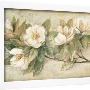 Sugar Magnolia Vintage, Botanical Framed Art Print Wall Art by Albena Hristova Sold by Art.Com