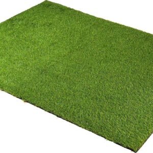 Superior Waterproof 6' x 9', Indoor/Outdoor Artificial Grass Area Rug, Synthetic Turf Rugs, Green