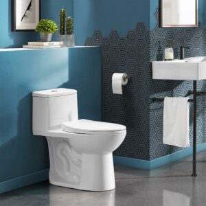 Avallon One-Piece Elongated Dual Flush-Toilet 1.1/1.6 gpf