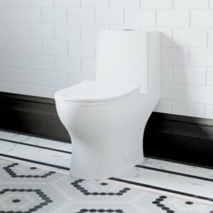 Ivy One-Piece Toilet, 10" Rough-in 1.1/1.6 gpf