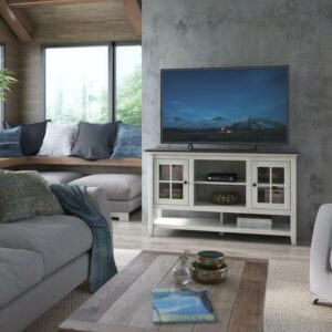 Twin Star Home TV Stand for TVs up to 60" with Windowpane Cabinet Doors