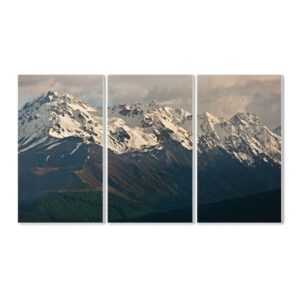 The Stupell Home Decor Collection Panoramic of the Southern Alps Wood Wall Art