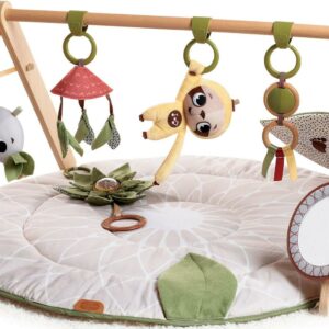 Tiny Love Boho Chic Luxe Developmental Gymini, Boho Chic