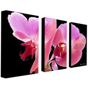 Trademark Art "Orchid" Canvas Art by Kathie McCurdy 3-Panel Set