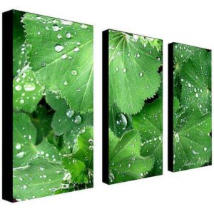 Trademark Art "Water Droplets" Canvas Art by Kathie McCurdy, 3-Piece Panel Set, 16x32