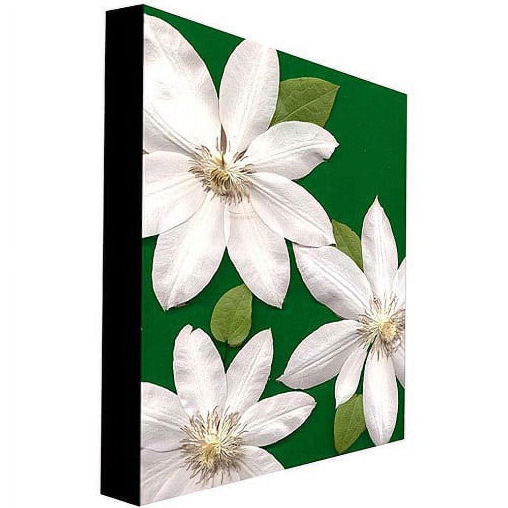 Trademark Art "White Clemantis" Canvas Art by Kathie McCurdy - Image 2