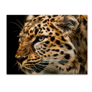 Trademark Fine Art 'Amur Leopard Copy' Canvas Art by Lori Hutchison