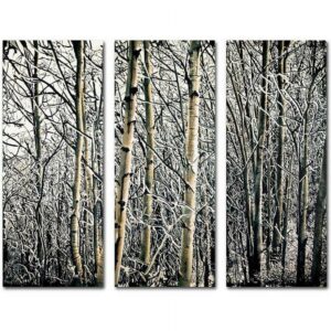 Trademark Fine Art "Aspen Winter" Canvas Art by Roderick Stevens, 3-Piece Panel Set, 14x32