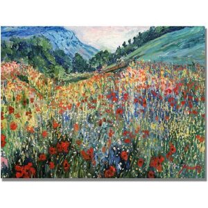 Trademark Fine Art Masters Fine Art Field of Wild Flowers Canvas Wall Art - 30x47