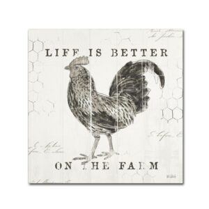 Trademark Fine Art 'Farmhouse Fresh III' Canvas Art by Katie Pertiet