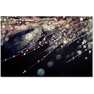 Trademark Fine Art "Little Wonders" Canvas Art by Beata Czyzowska Young