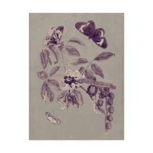 Trademark Fine Art 'Nature Study in Plum & Taupe II' Canvas Art by Maria S. Merian