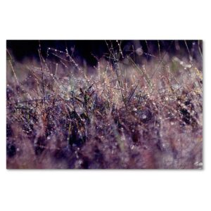 Beata Czyzowska Young 'Purple Rain' Canvas Art