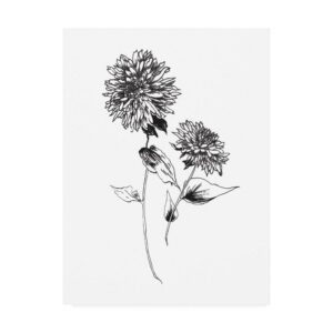 Trademark Fine Art 'Sketchbook Flowers on White IV' Canvas Art by Wild Apple Portfolio