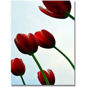 Trademark Global Michelle Calkins "Red Tulips from the Bottom Up" Canvas Art, 47" x 30"