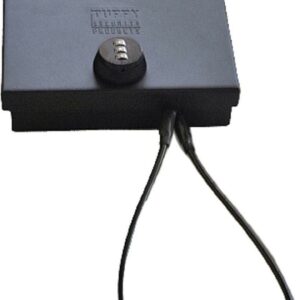 Tuffy Security Fire Resistant Travel Safe with Combination Lock, 10" x 8" x 4", Black